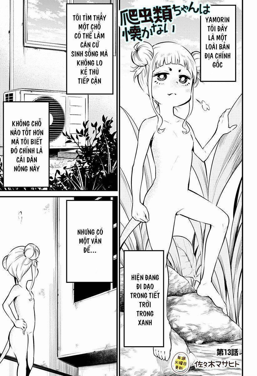 Hachuurui-Chan Wa Natsukanai 13 trang 0