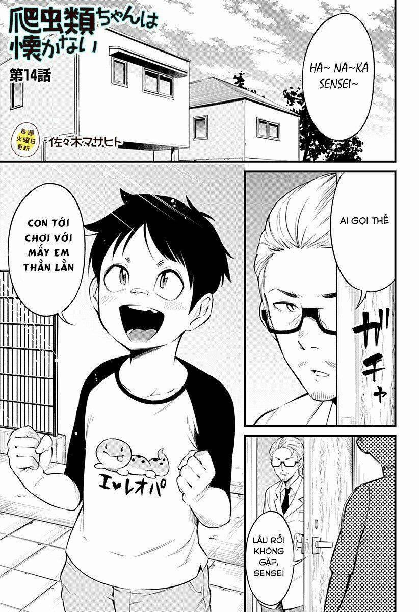 Hachuurui-Chan Wa Natsukanai 14 trang 0