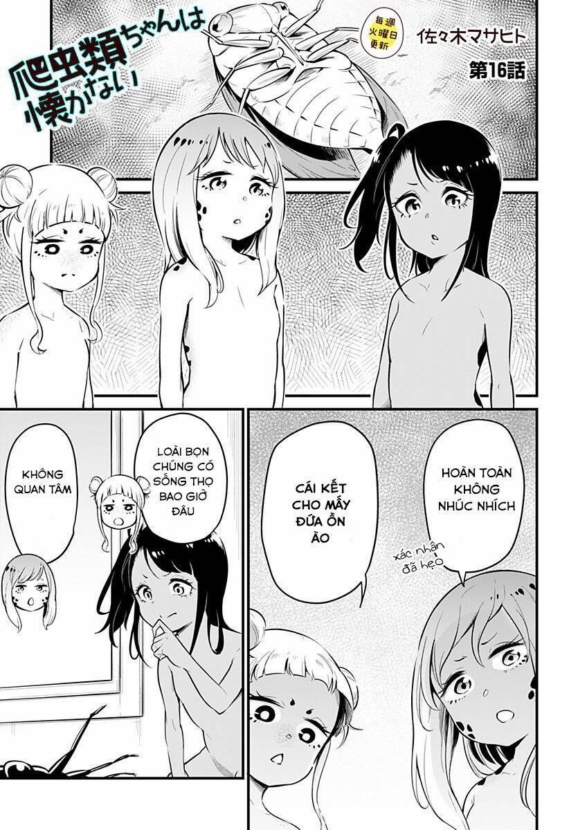 Hachuurui-Chan Wa Natsukanai 16 trang 0