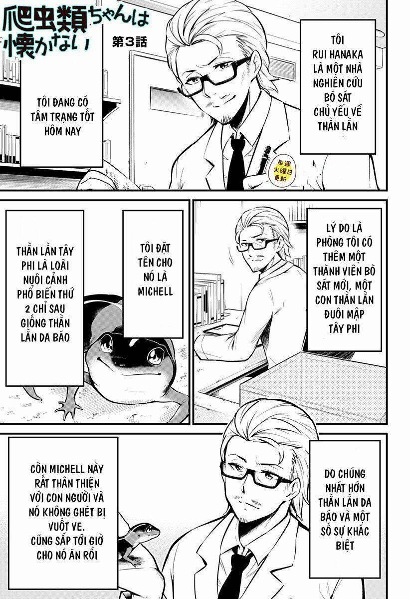 Hachuurui-Chan Wa Natsukanai 3 trang 0