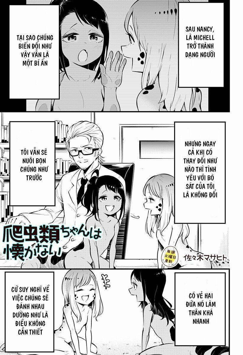 Hachuurui-Chan Wa Natsukanai 4 trang 0