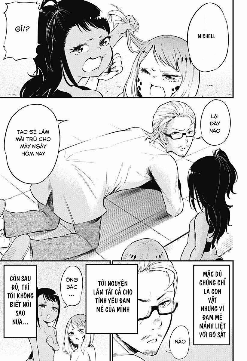 Hachuurui-Chan Wa Natsukanai 4 trang 6
