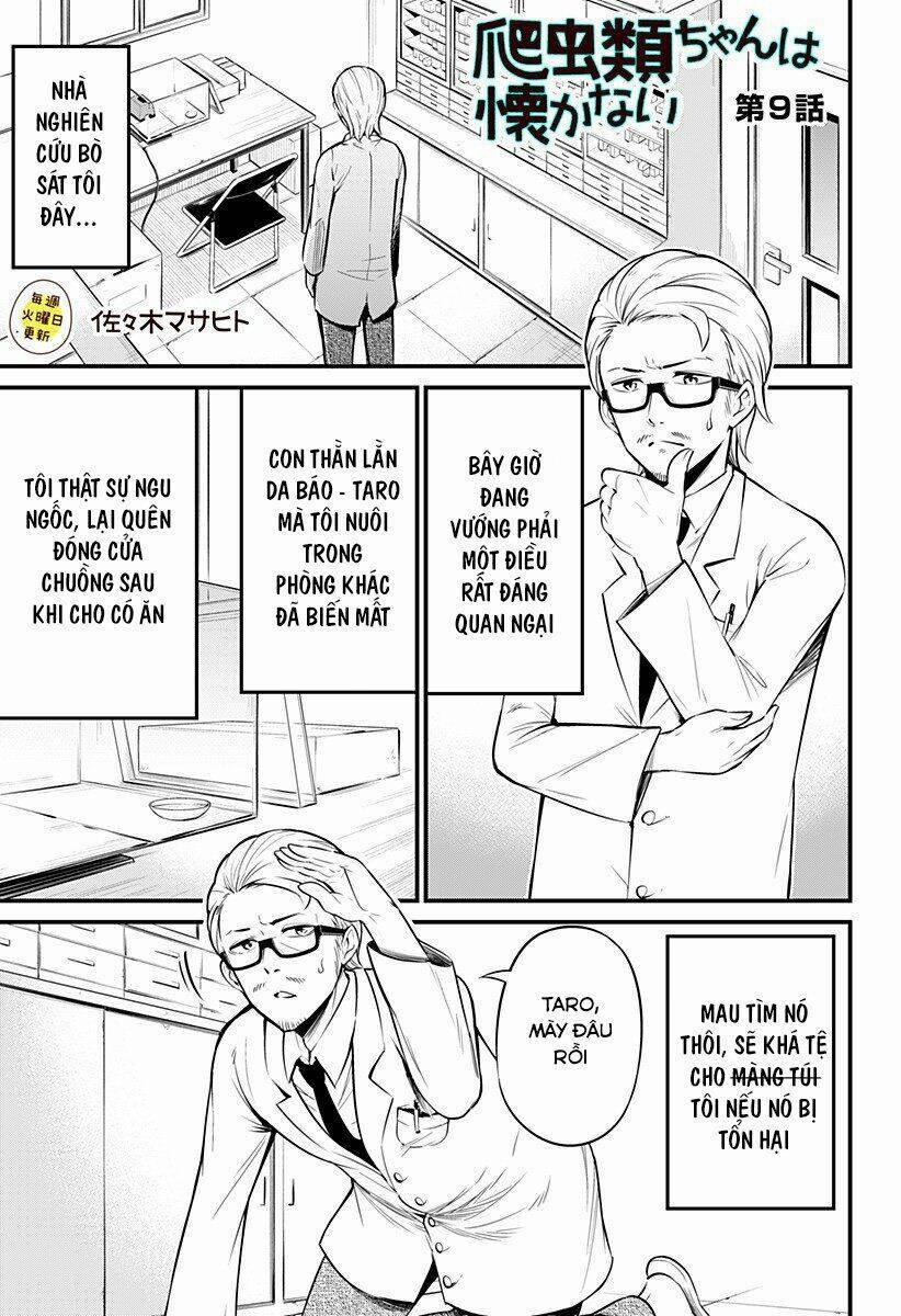 Hachuurui-Chan Wa Natsukanai 9 trang 0