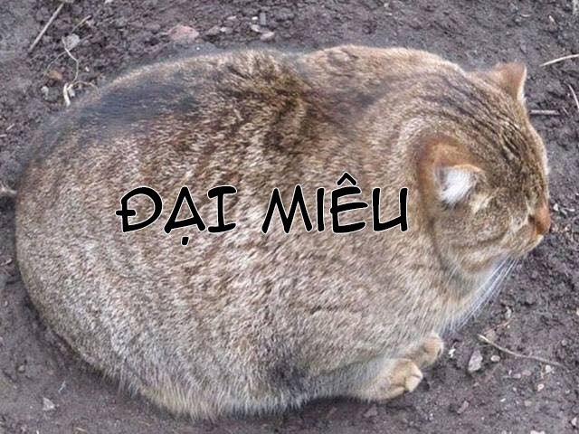 Hai ông anh rủ nhau làm thịt tôi! 0 Lời tỏ tình của Rei trang 0