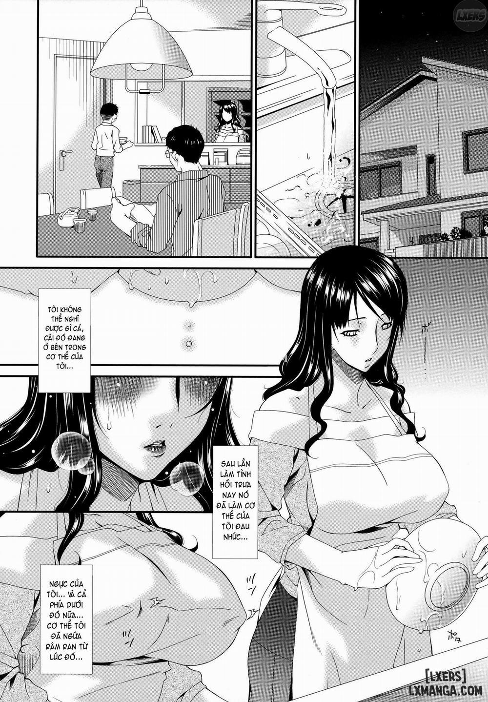 Hametorare 4 trang 14