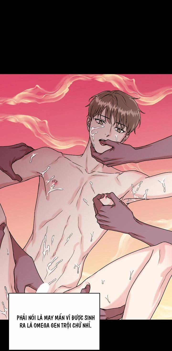 Hang Cọp (ABO) 1 trang 39