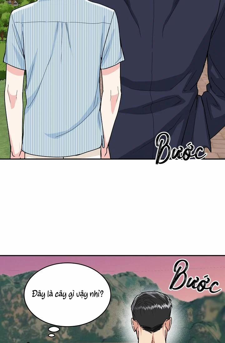 Hang Cọp (ABO) 6 trang 63