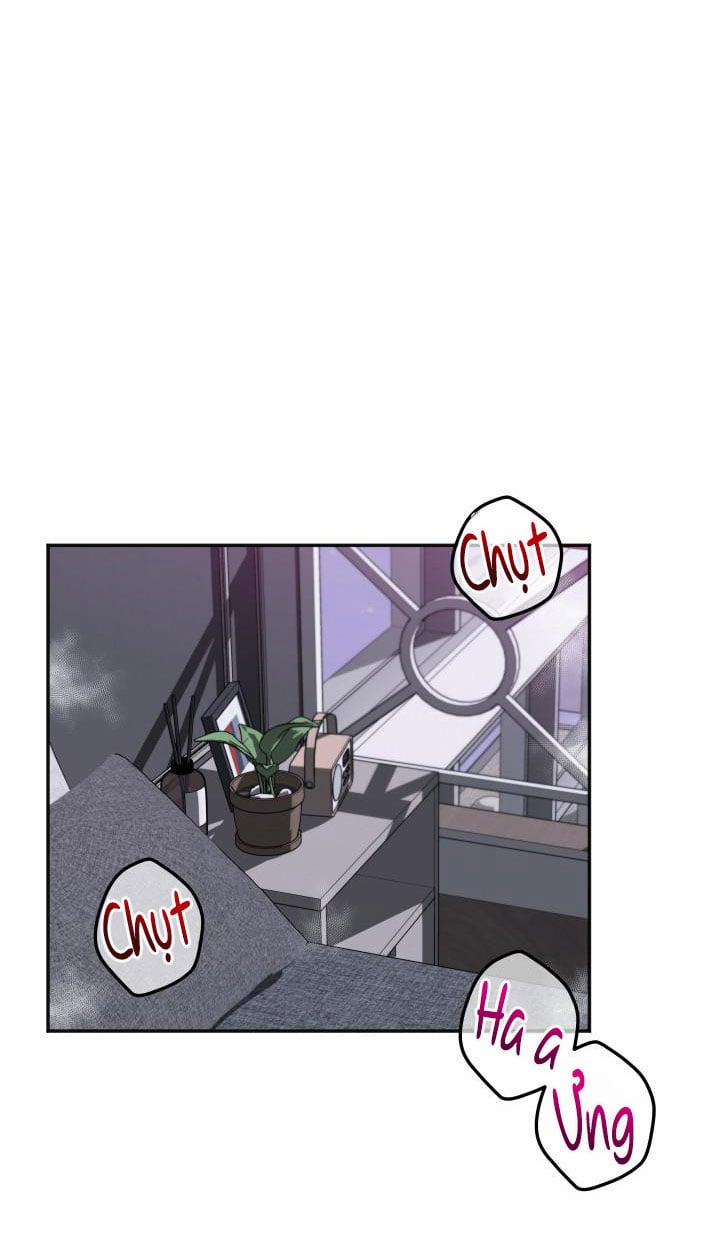 Hàng Đã Giao 16 trang 31