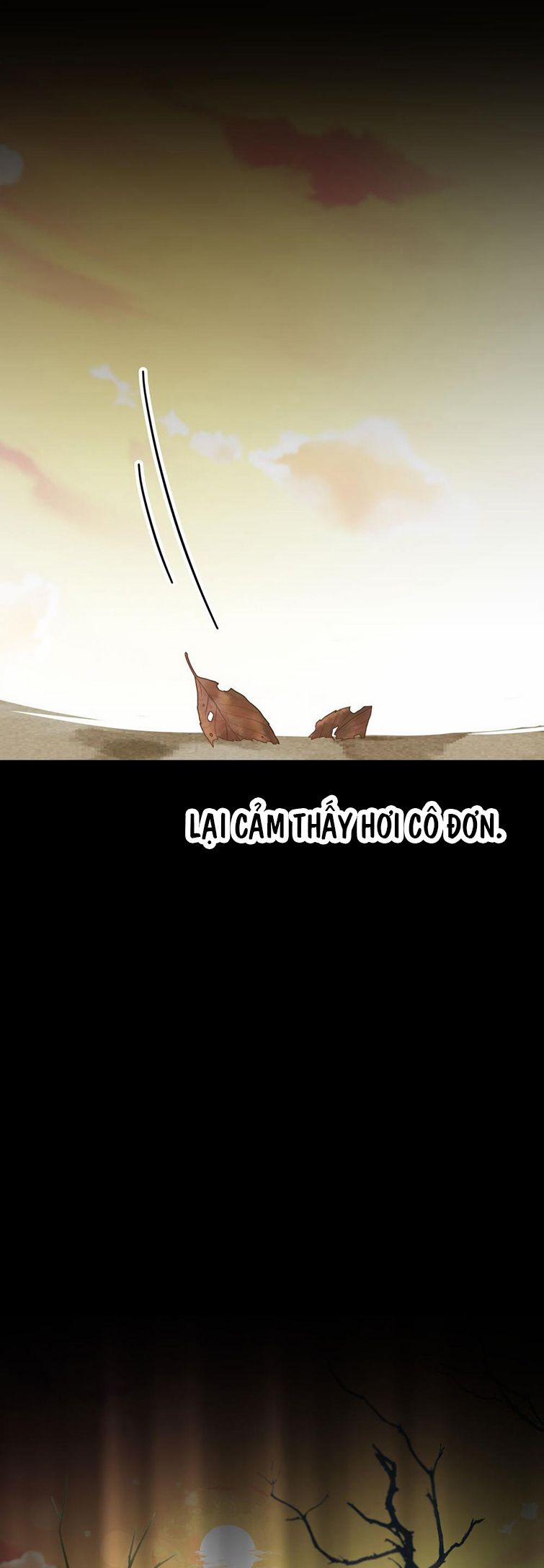 Hàng Không Bán 11 trang 11