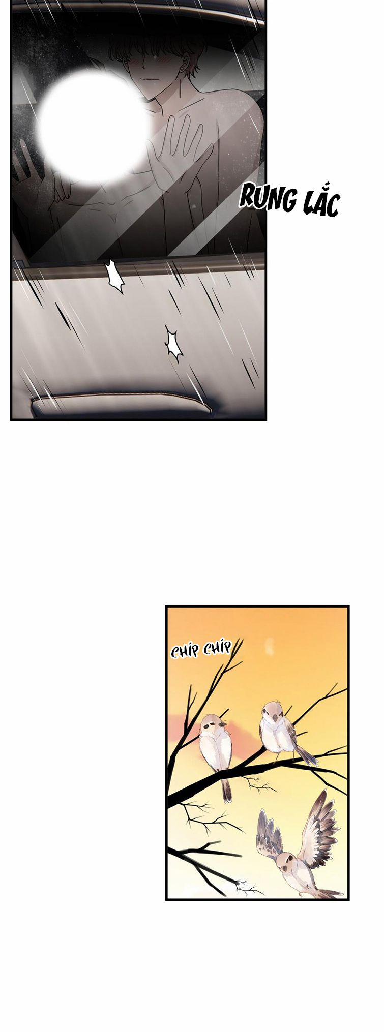 Hàng Không Bán 11 trang 26