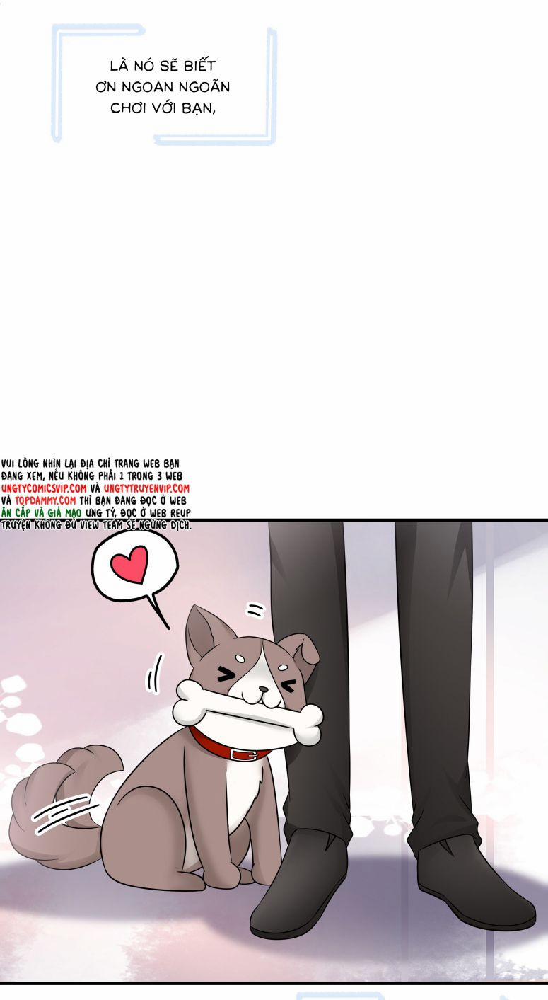 Hàng Không Bán 21 trang 33