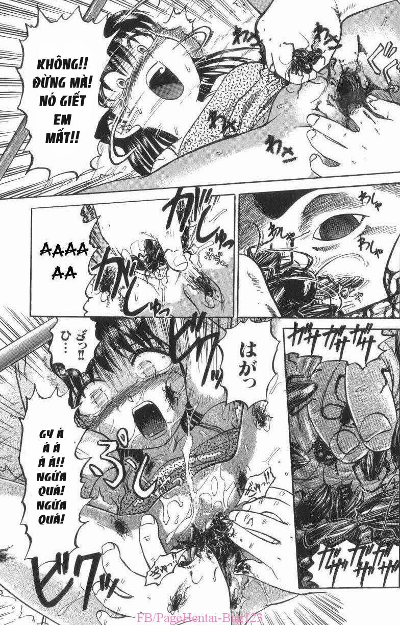 Hành Hạ Loli 3 ĐÊM THỨ BA: TRA TẤN trang 5