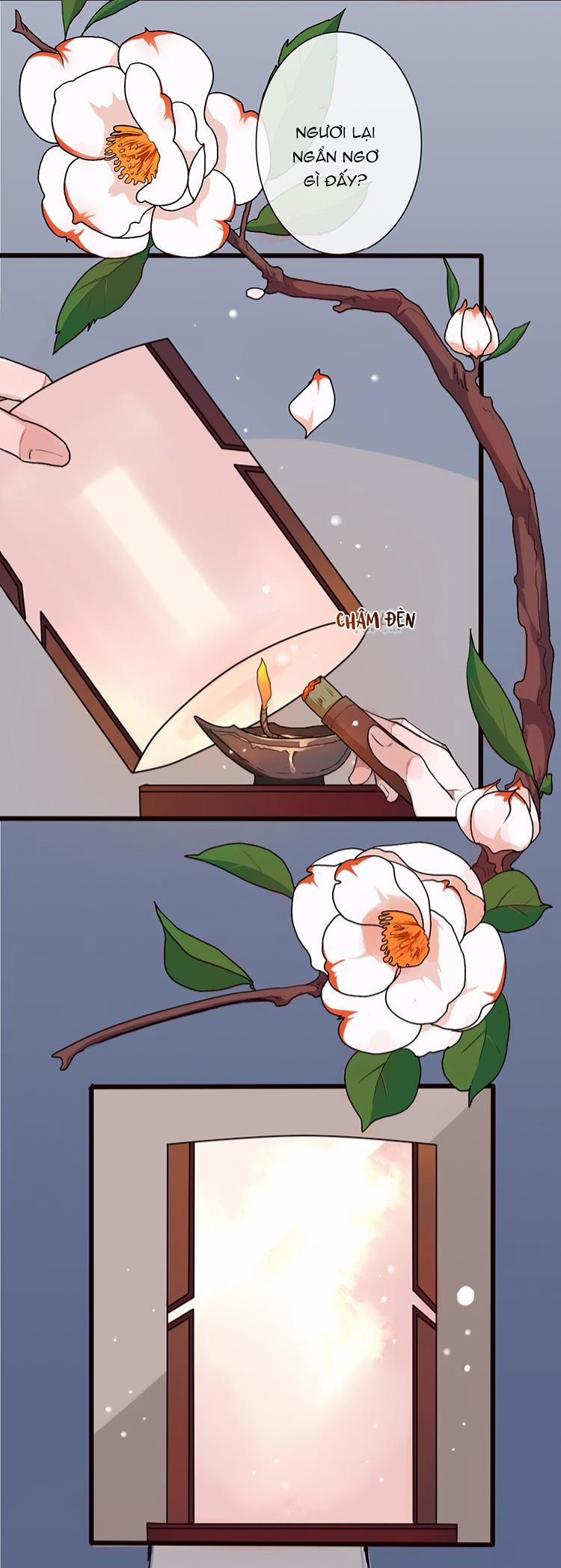 Hạnh Lâm Phương Hoa (END SS1) 21 trang 2