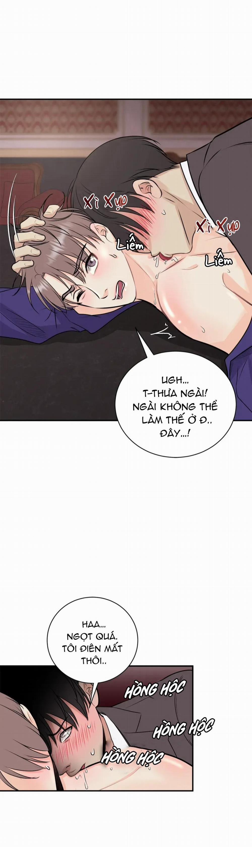 Hạnh Phúc Trọn Vẹn 14 trang 0