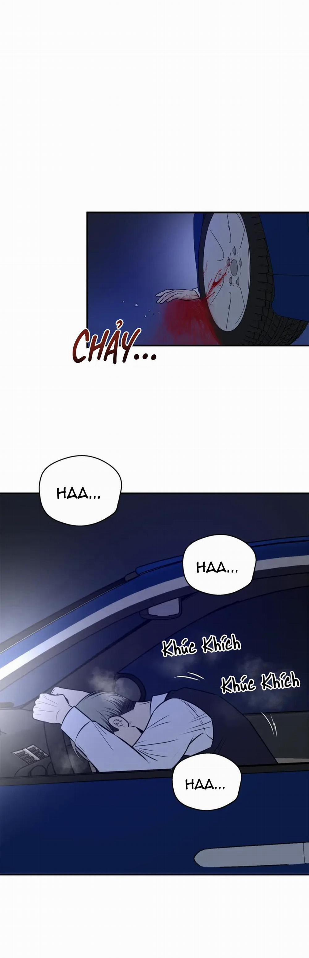 Hạnh Phúc Trọn Vẹn 14 trang 12