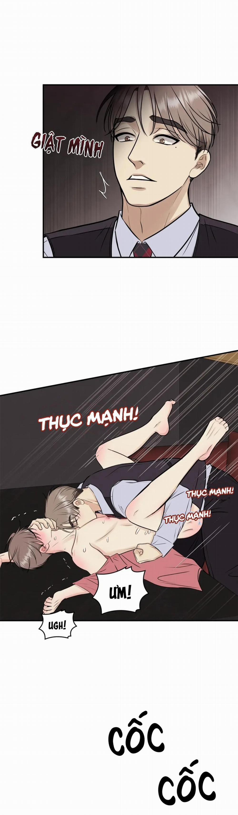 Hạnh Phúc Trọn Vẹn 16 trang 11