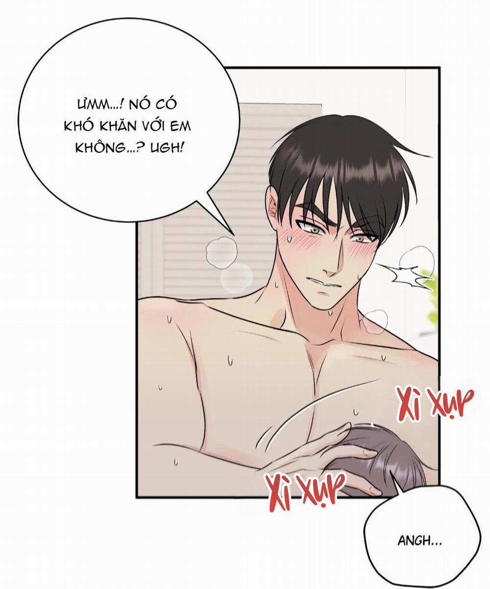 Hạnh Phúc Trọn Vẹn 19 trang 19