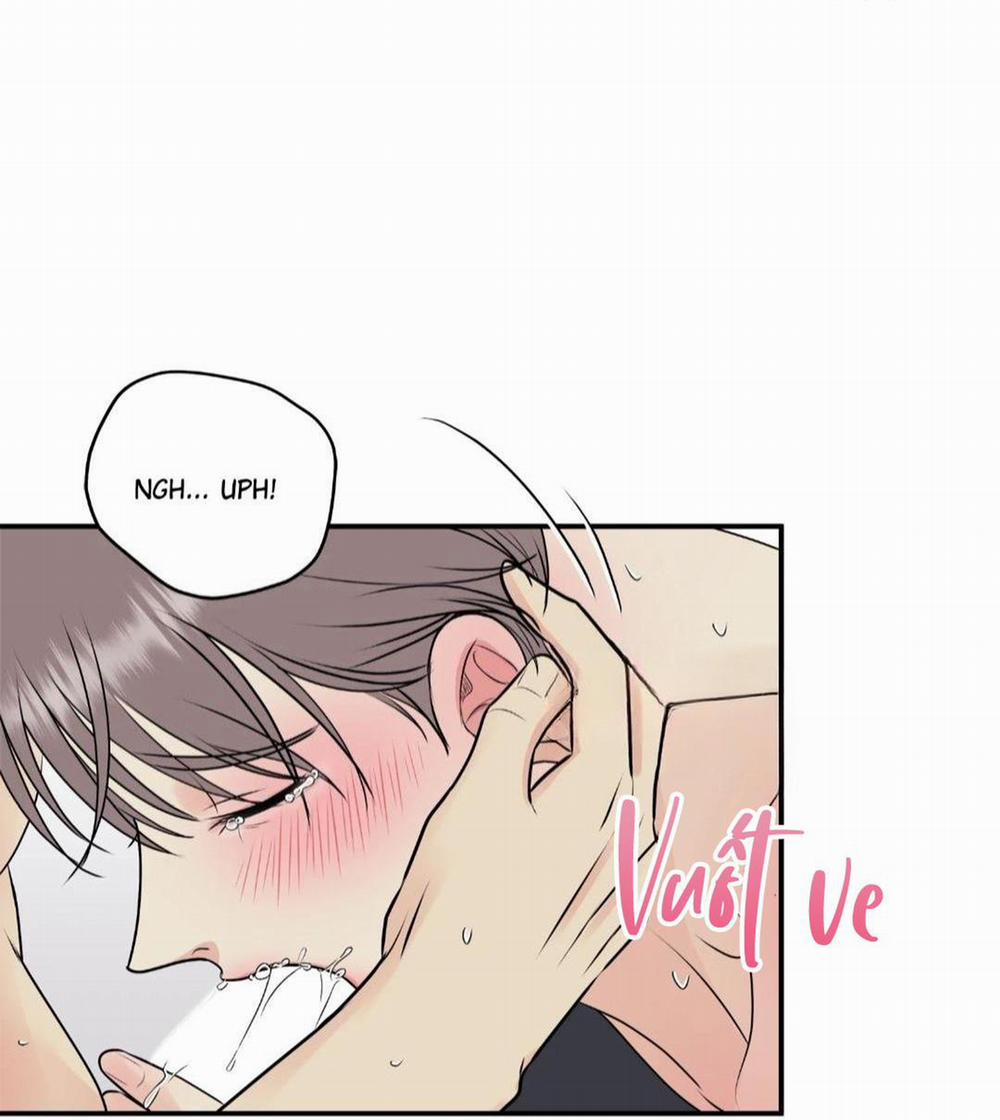 Hạnh Phúc Trọn Vẹn 19 trang 20