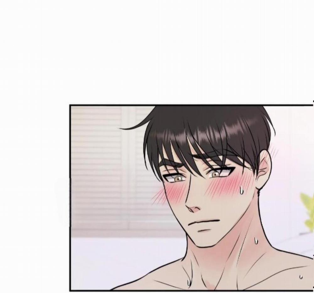 Hạnh Phúc Trọn Vẹn 19 trang 3