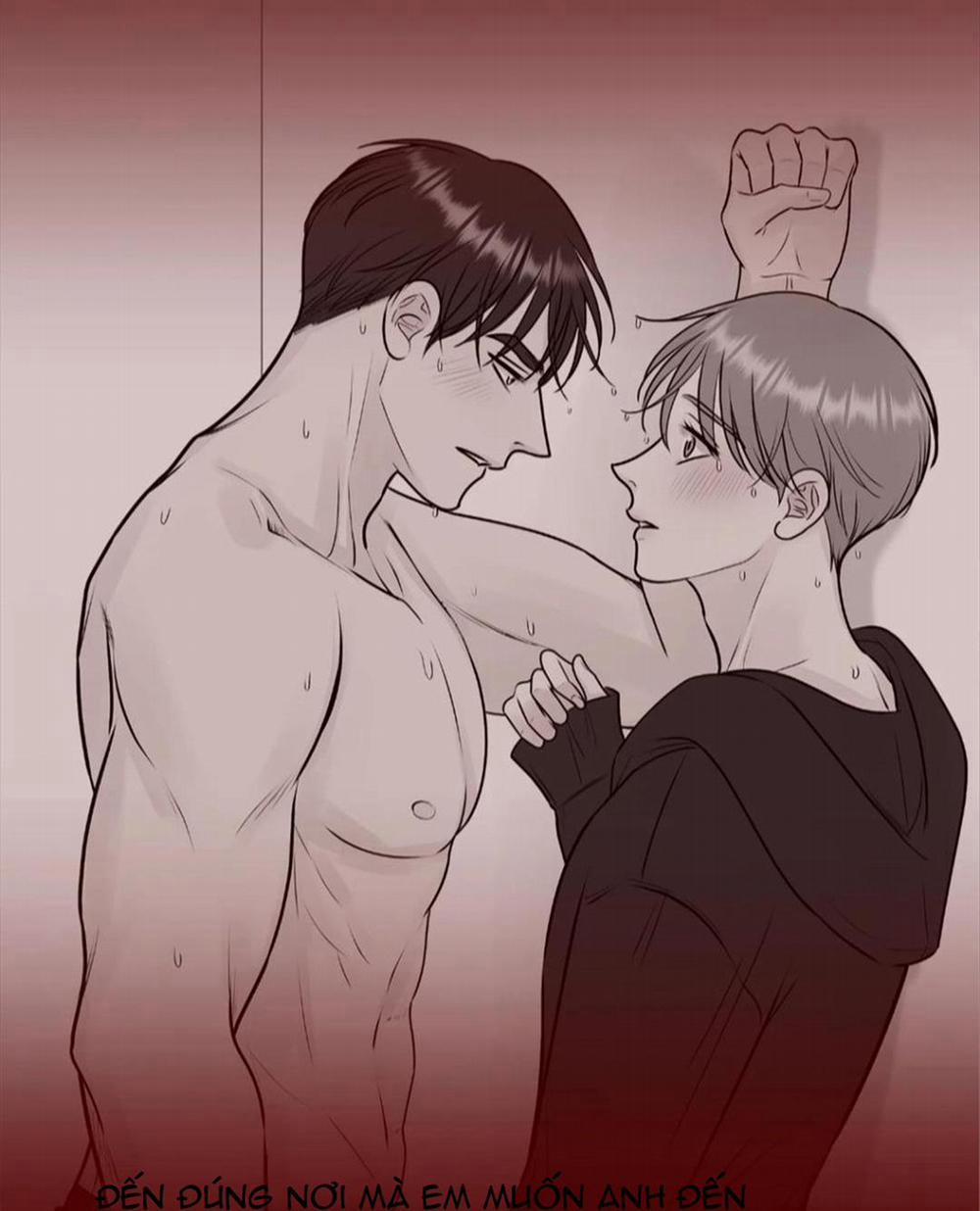 Hạnh Phúc Trọn Vẹn 20 trang 160