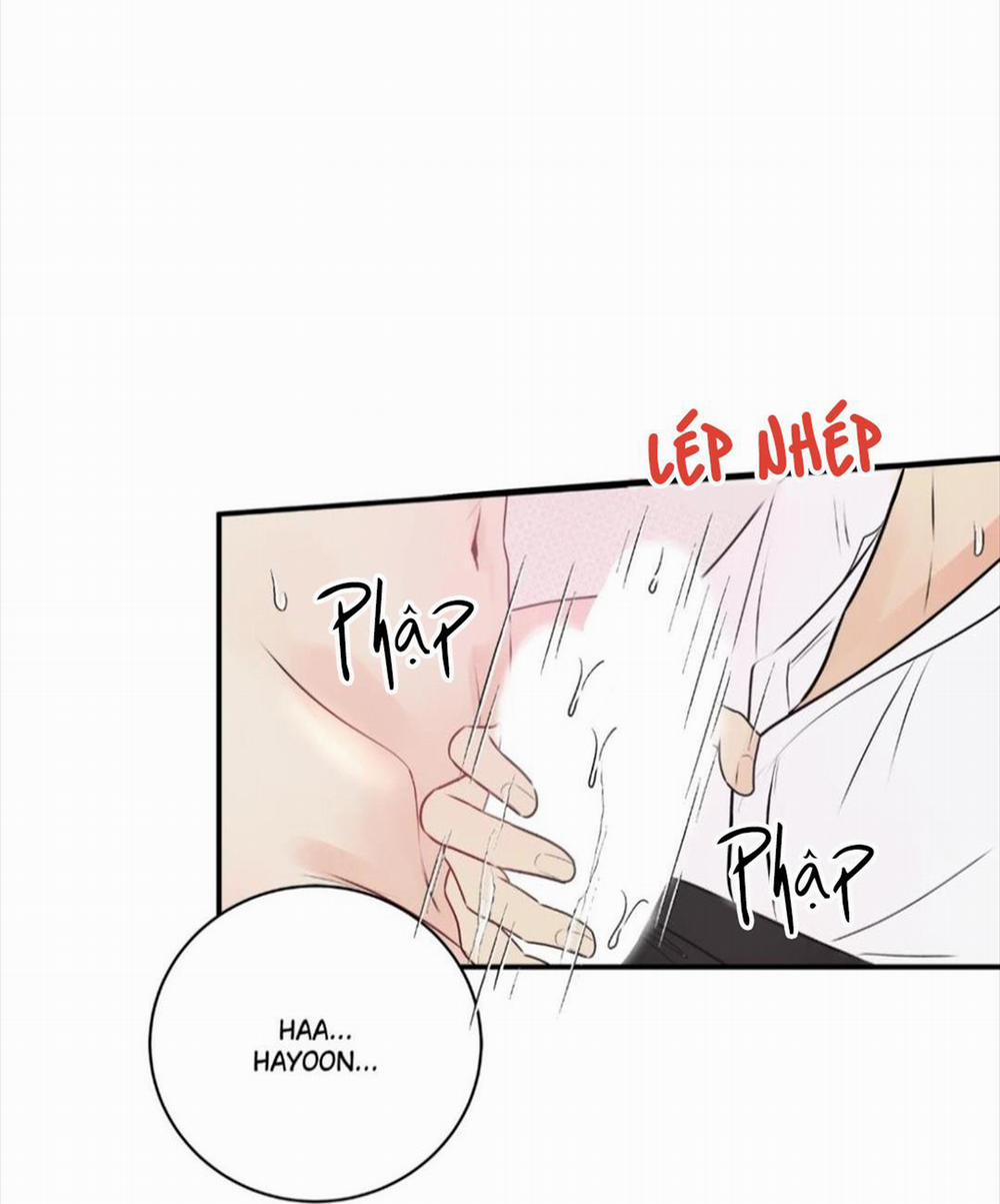 Hạnh Phúc Trọn Vẹn 21 trang 94