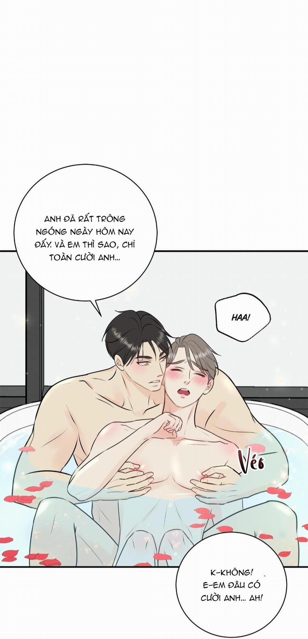 Hạnh Phúc Trọn Vẹn 22 trang 43