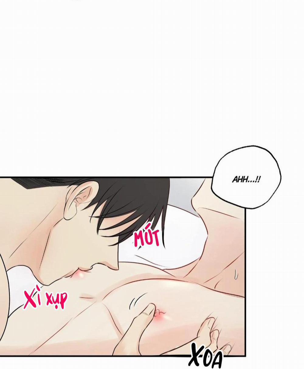 Hạnh Phúc Trọn Vẹn 22 trang 55