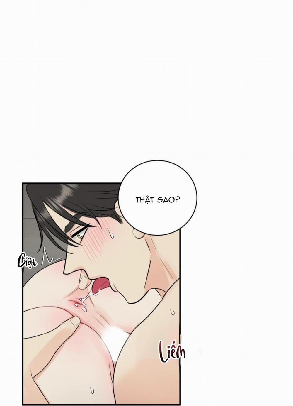 Hạnh Phúc Trọn Vẹn 22 trang 64