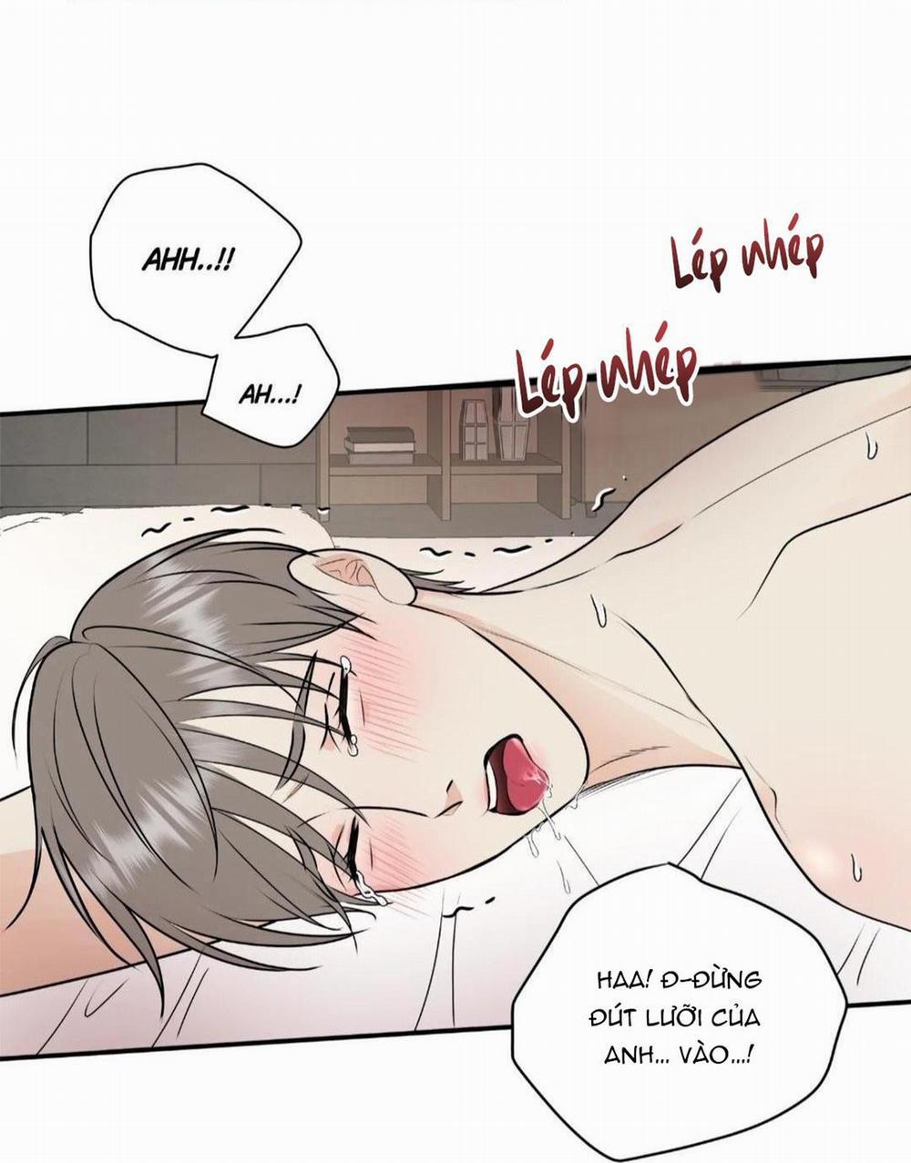 Hạnh Phúc Trọn Vẹn 22 trang 65