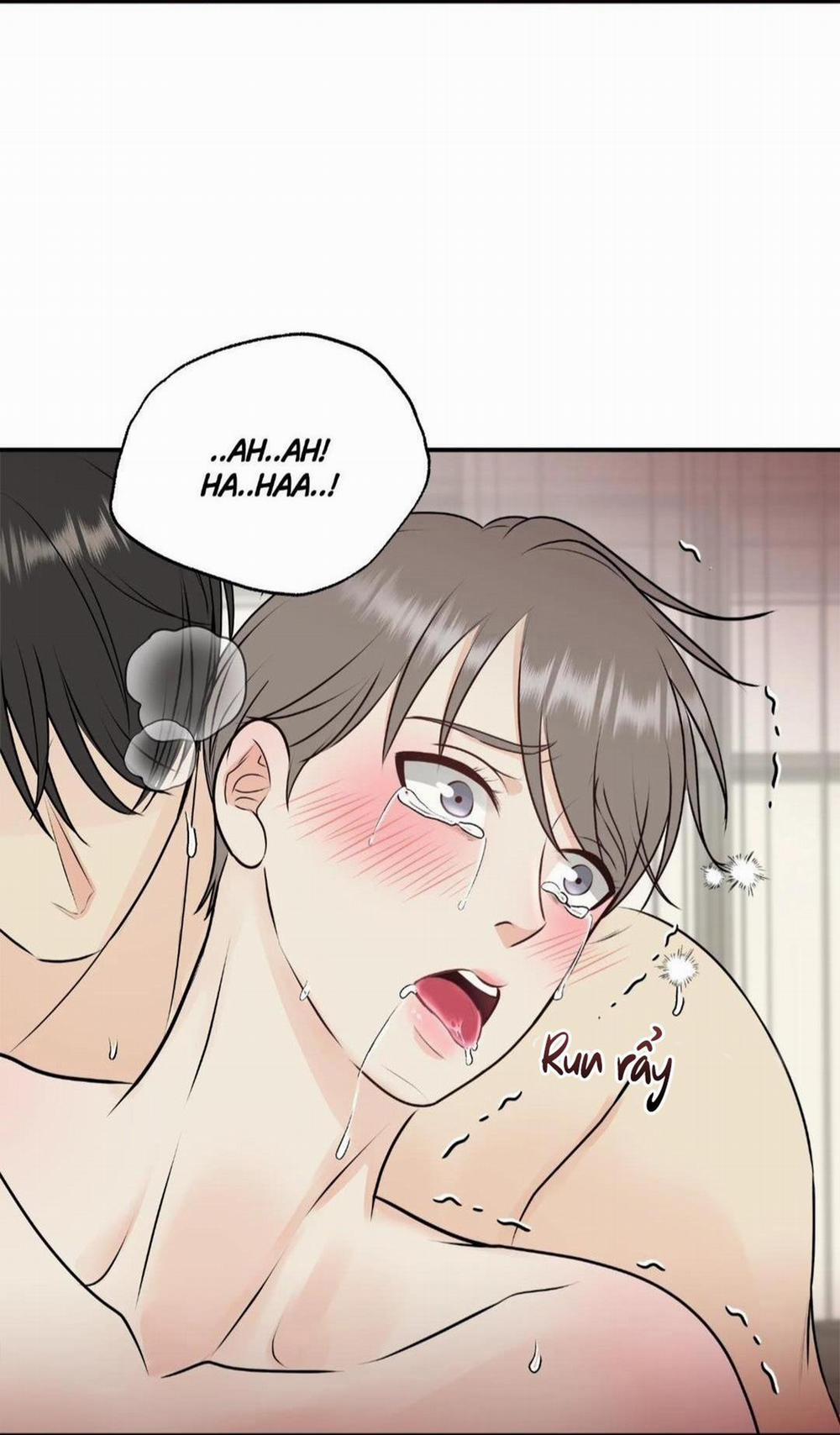 Hạnh Phúc Trọn Vẹn 22 trang 88