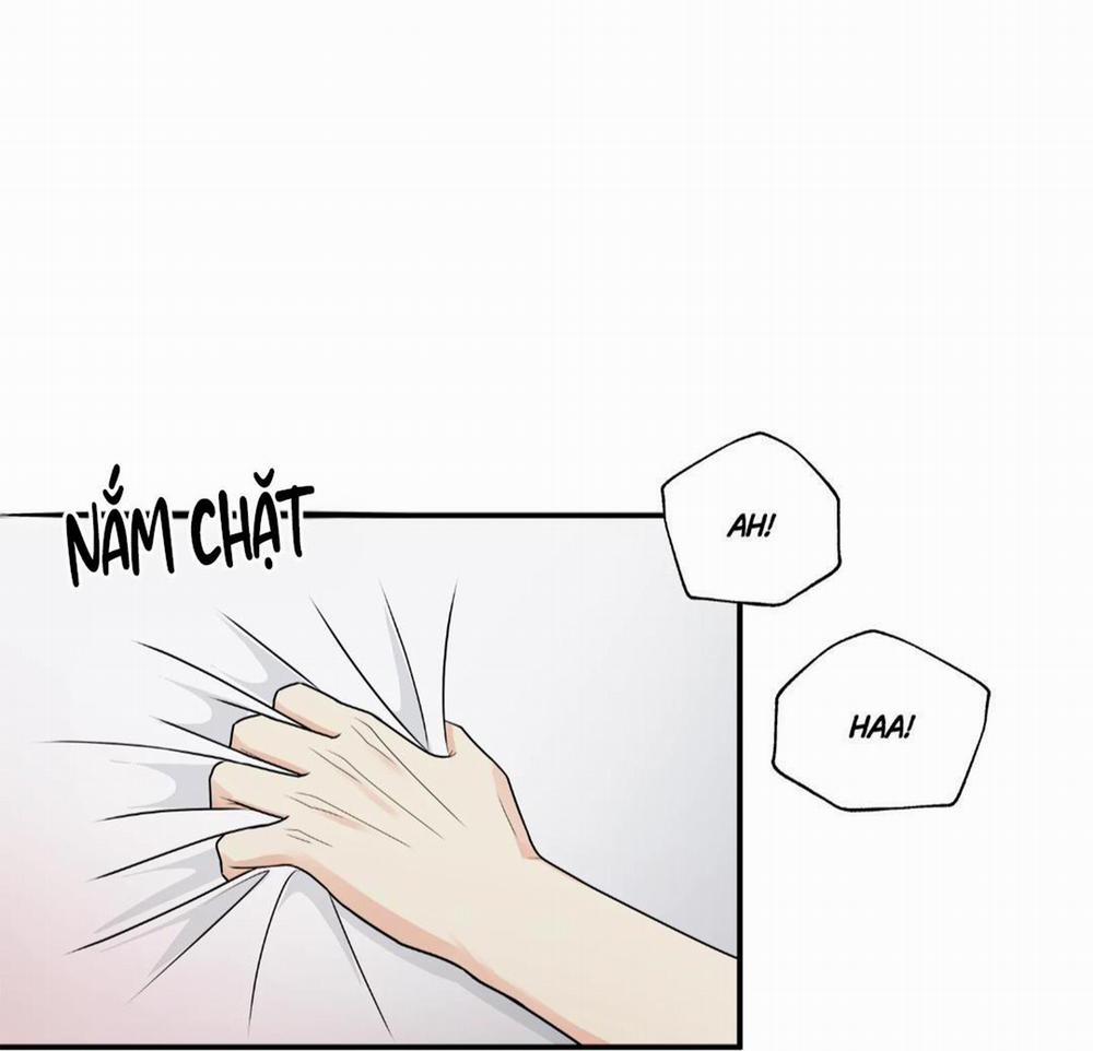 Hạnh Phúc Trọn Vẹn 23 trang 1