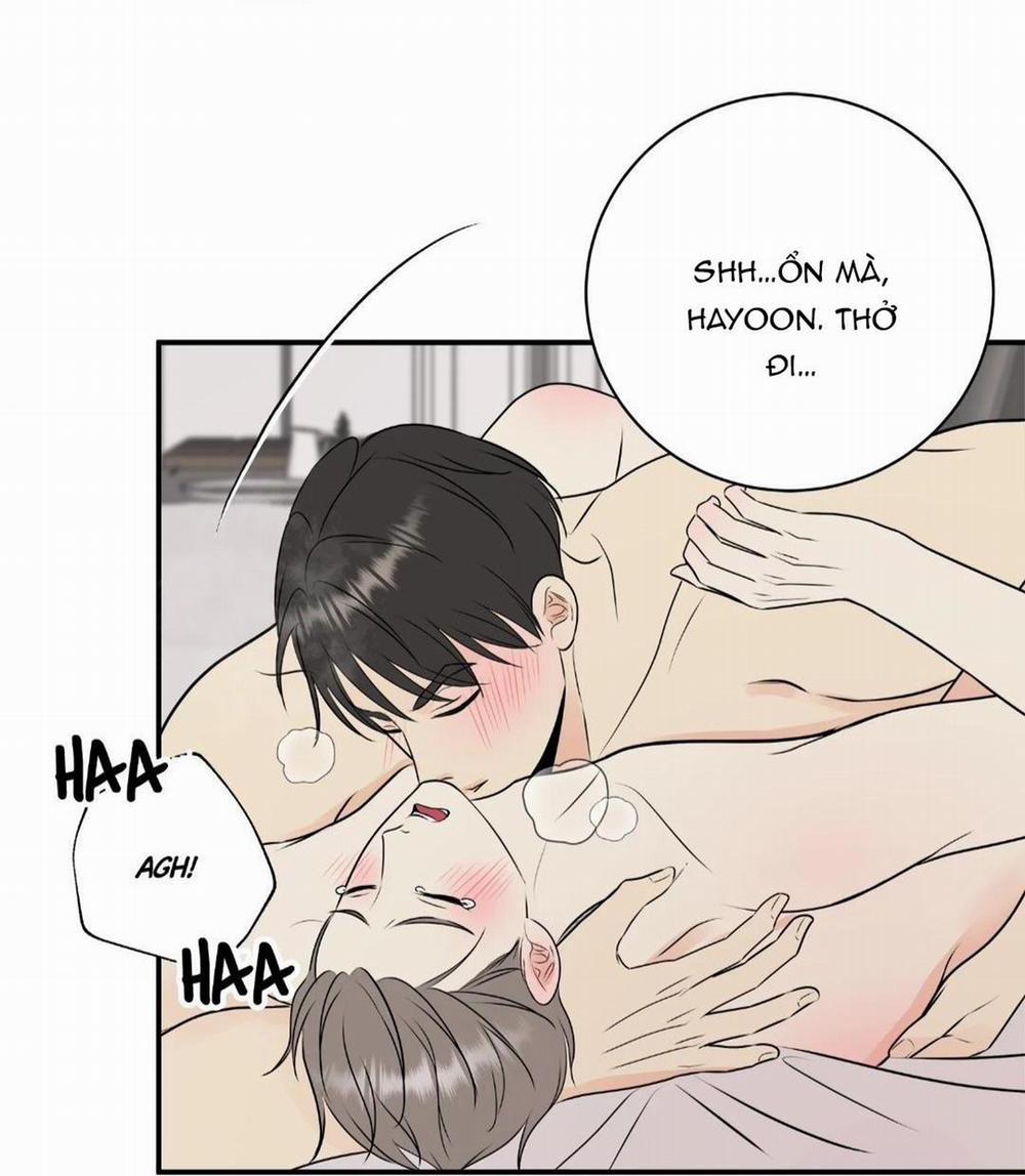 Hạnh Phúc Trọn Vẹn 23 trang 12