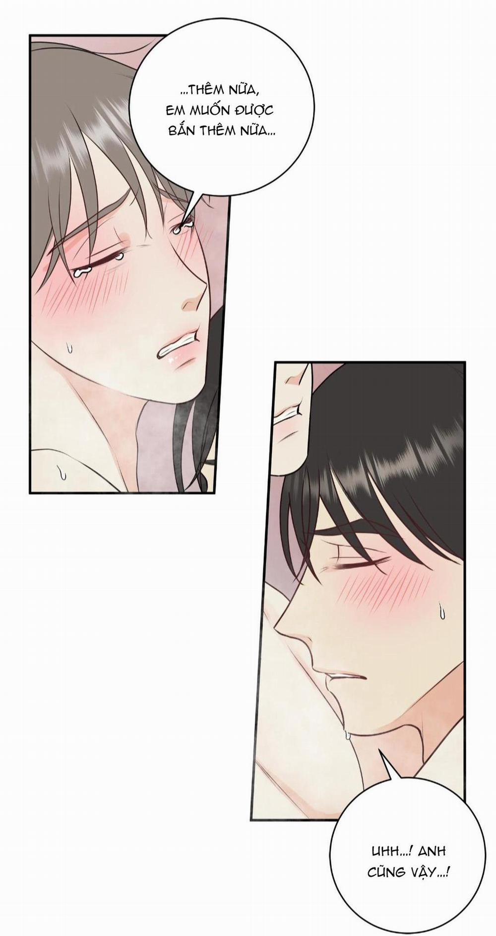 Hạnh Phúc Trọn Vẹn 23 trang 29