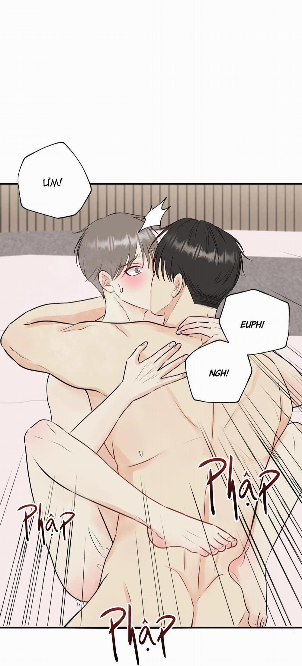 Hạnh Phúc Trọn Vẹn 23 trang 43