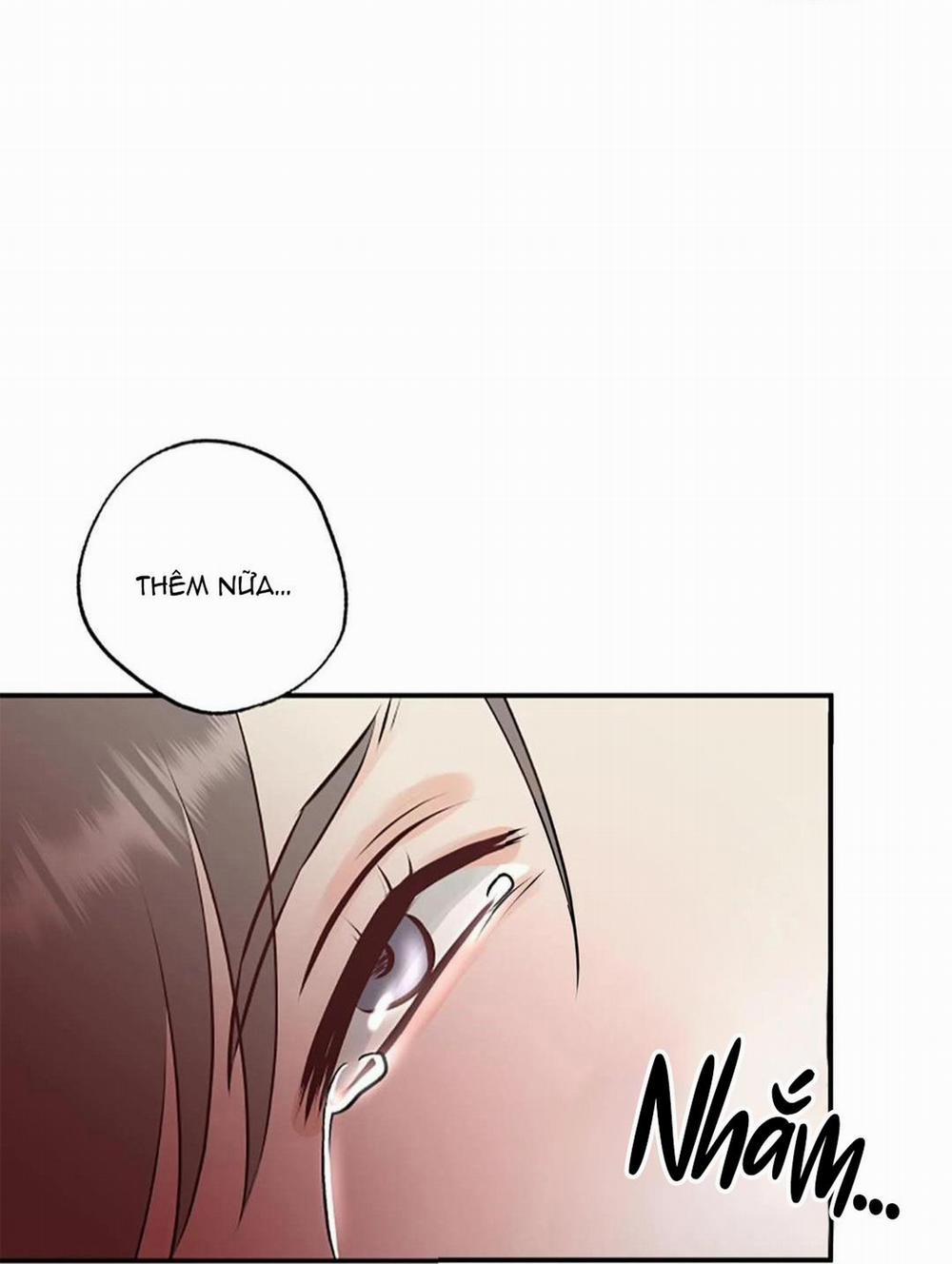 Hạnh Phúc Trọn Vẹn 23 trang 48