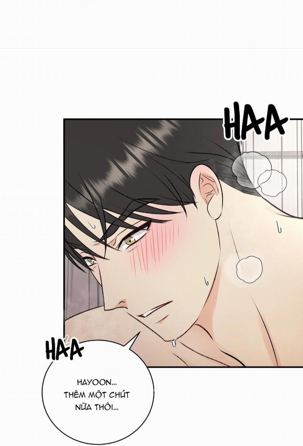 Hạnh Phúc Trọn Vẹn 23 trang 5