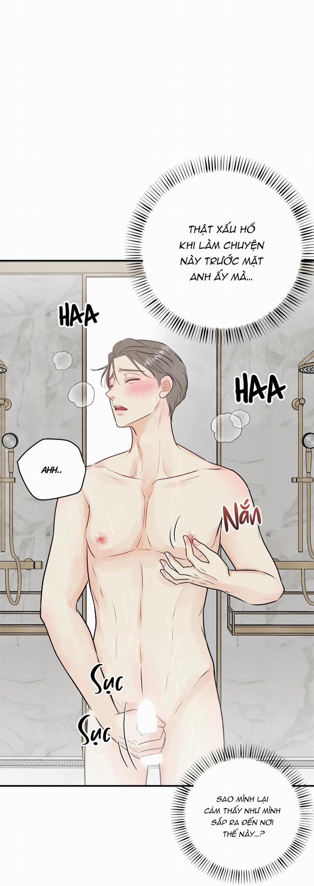 Hạnh Phúc Trọn Vẹn 24 trang 28