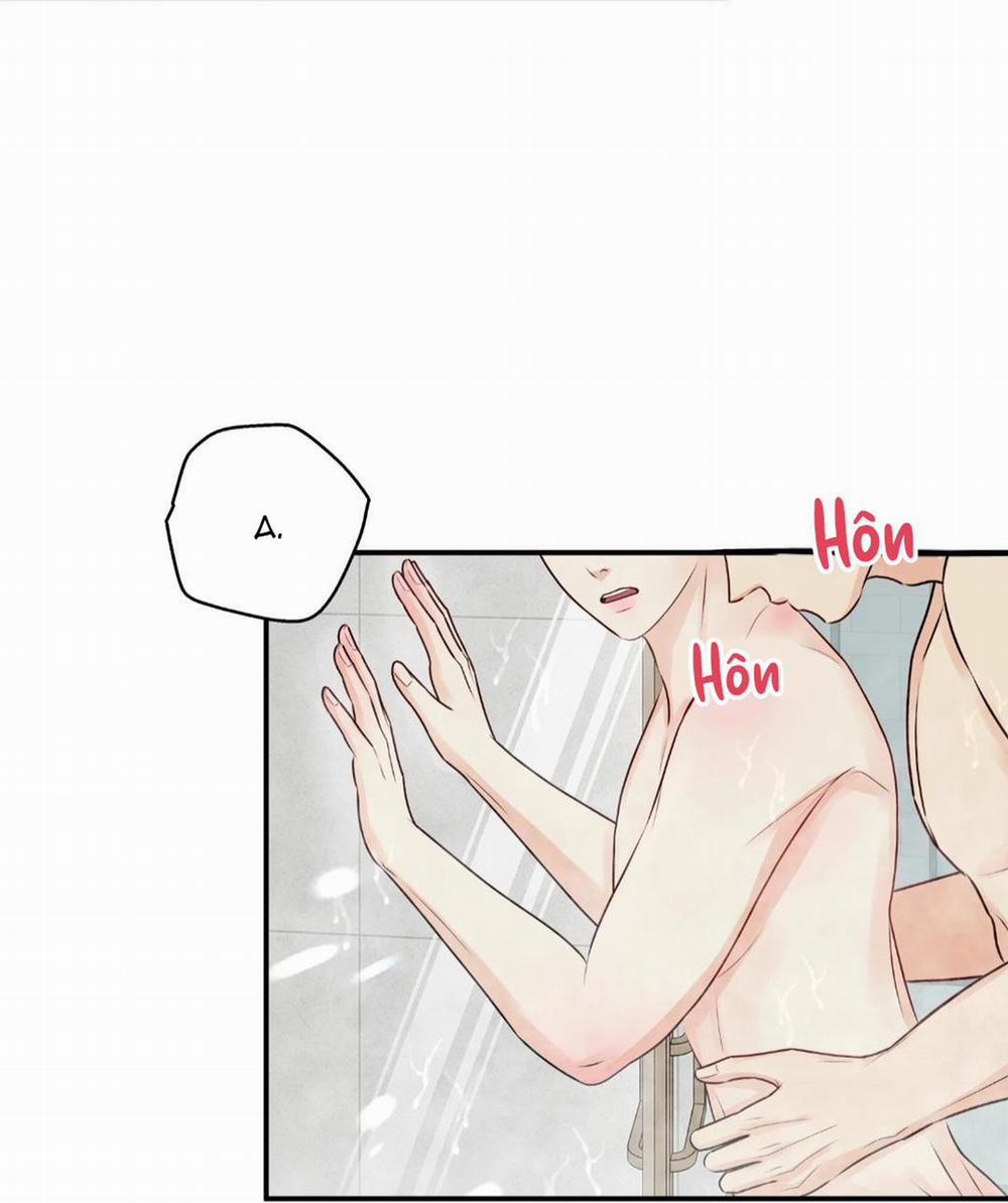 Hạnh Phúc Trọn Vẹn 24 trang 3