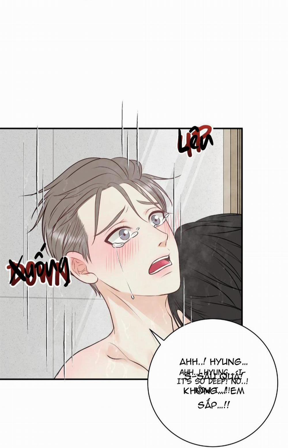 Hạnh Phúc Trọn Vẹn 24 trang 57