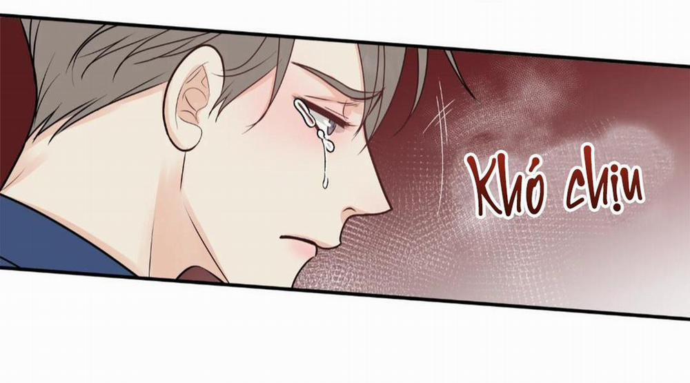 Hạnh Phúc Trọn Vẹn 25 trang 51