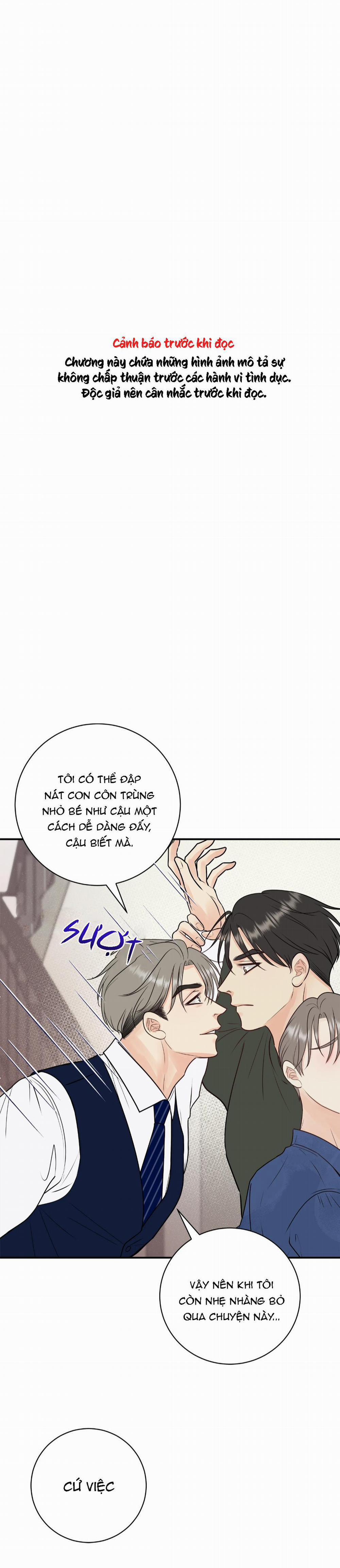 Hạnh Phúc Trọn Vẹn 26 trang 0