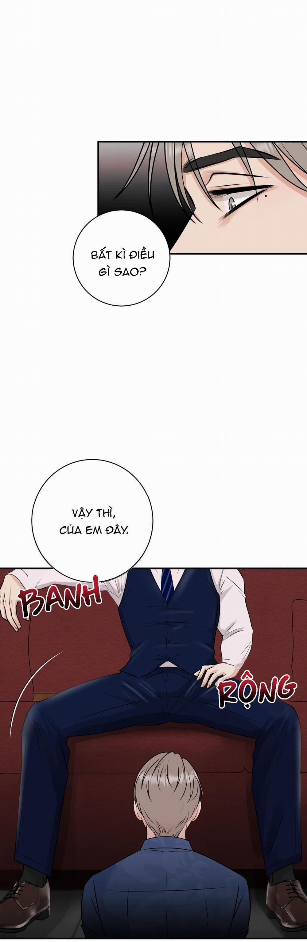 Hạnh Phúc Trọn Vẹn 26 trang 19