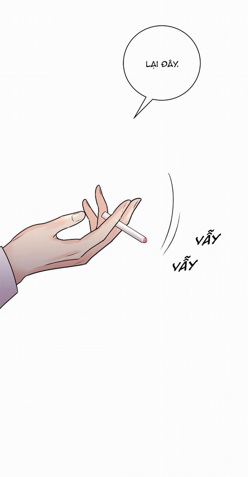 Hạnh Phúc Trọn Vẹn 27 trang 4