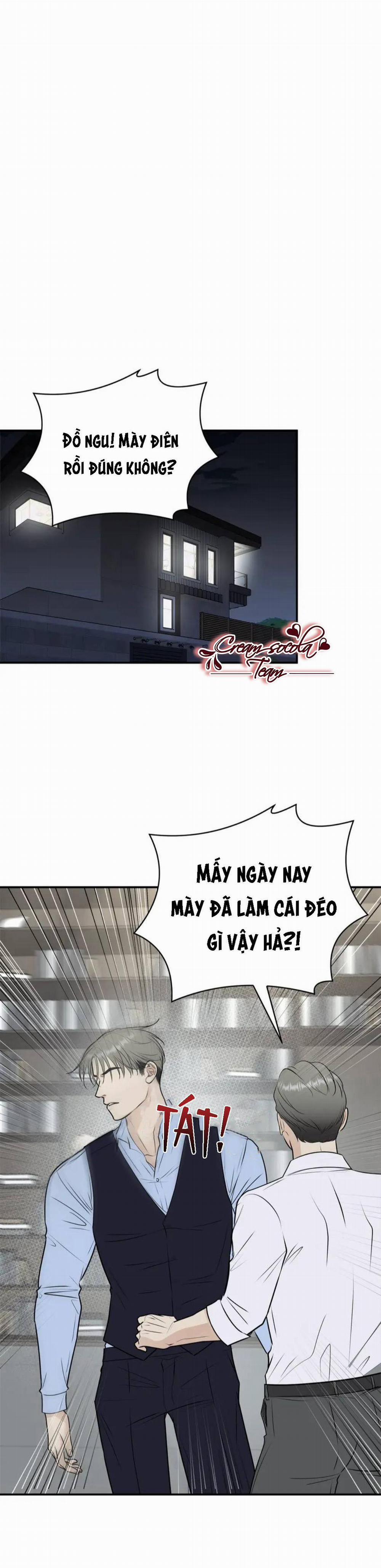 Hạnh Phúc Trọn Vẹn 29 trang 0