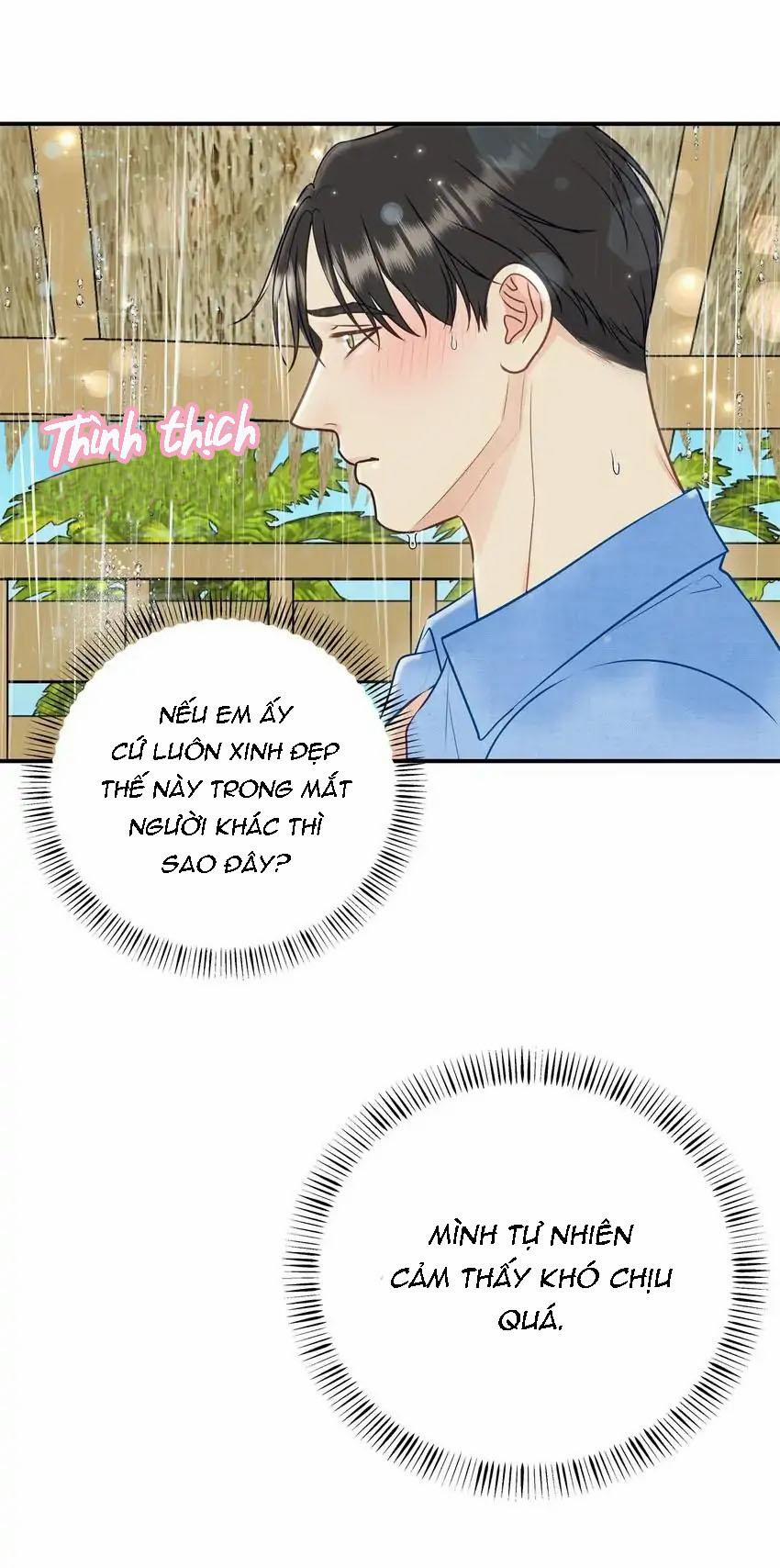 Hạnh Phúc Trọn Vẹn 36 trang 15