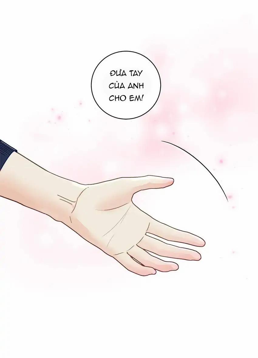 Hạnh Phúc Trọn Vẹn 38 trang 4