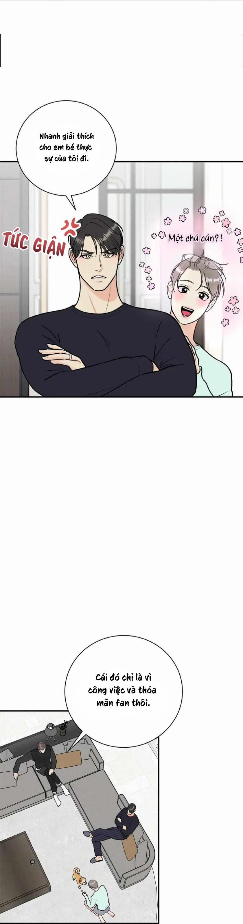 Hạnh Phúc Trọn Vẹn 43 trang 2