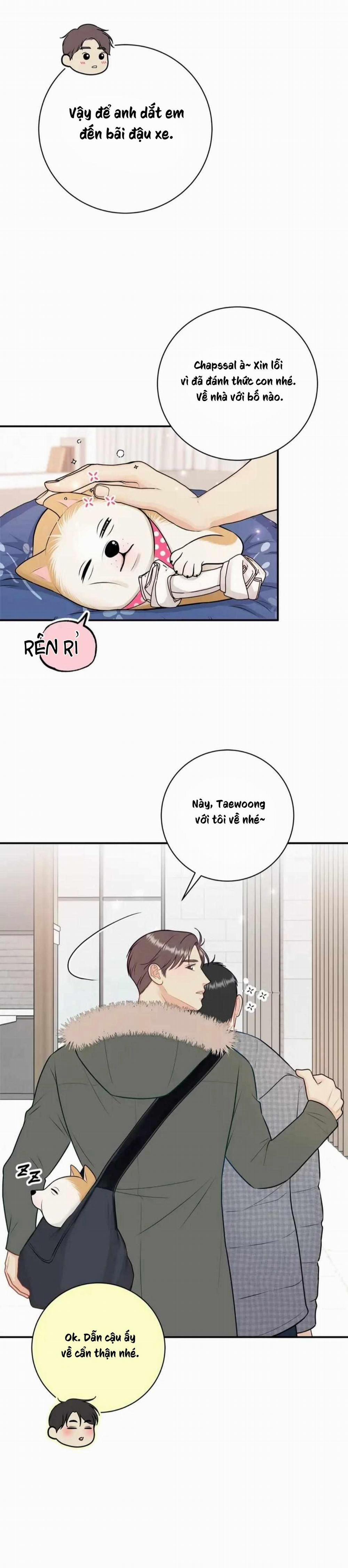 Hạnh Phúc Trọn Vẹn 46 trang 10