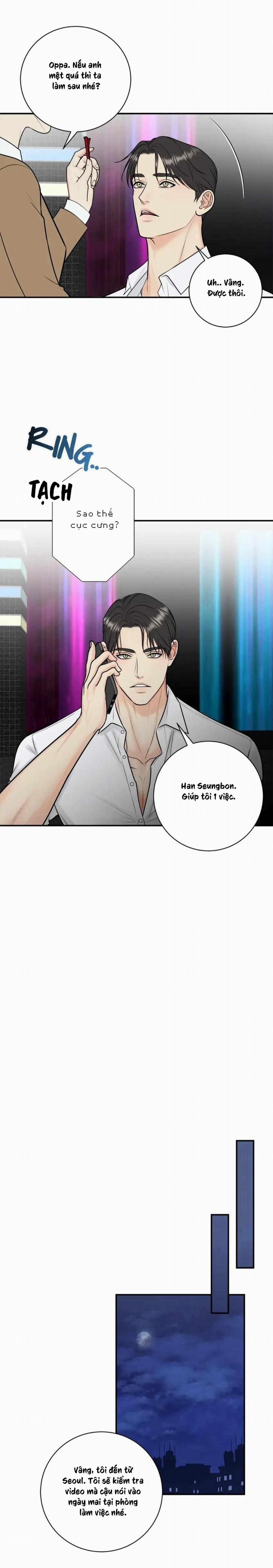 Hạnh Phúc Trọn Vẹn 49 trang 15