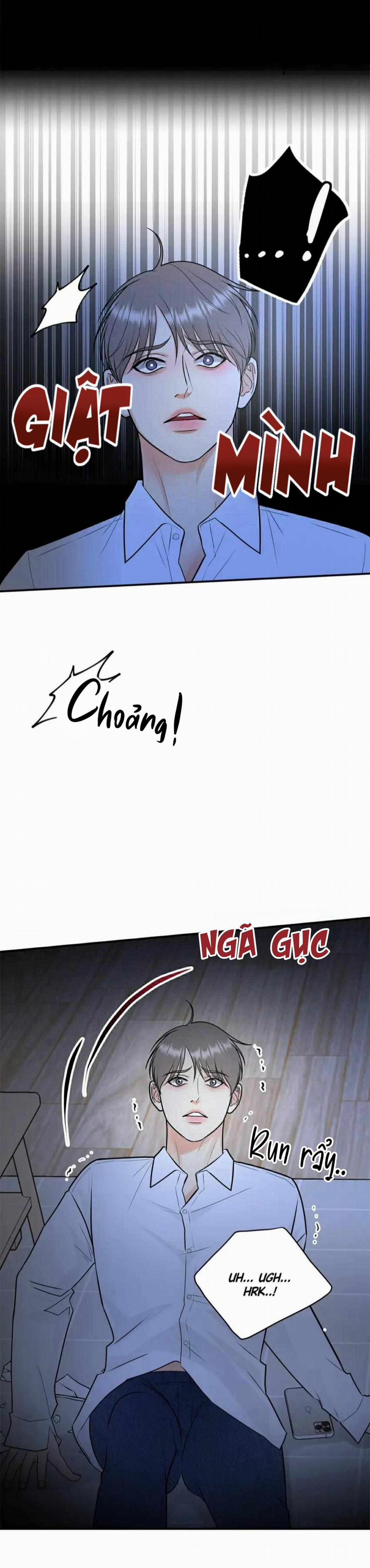 Hạnh Phúc Trọn Vẹn 49 trang 21